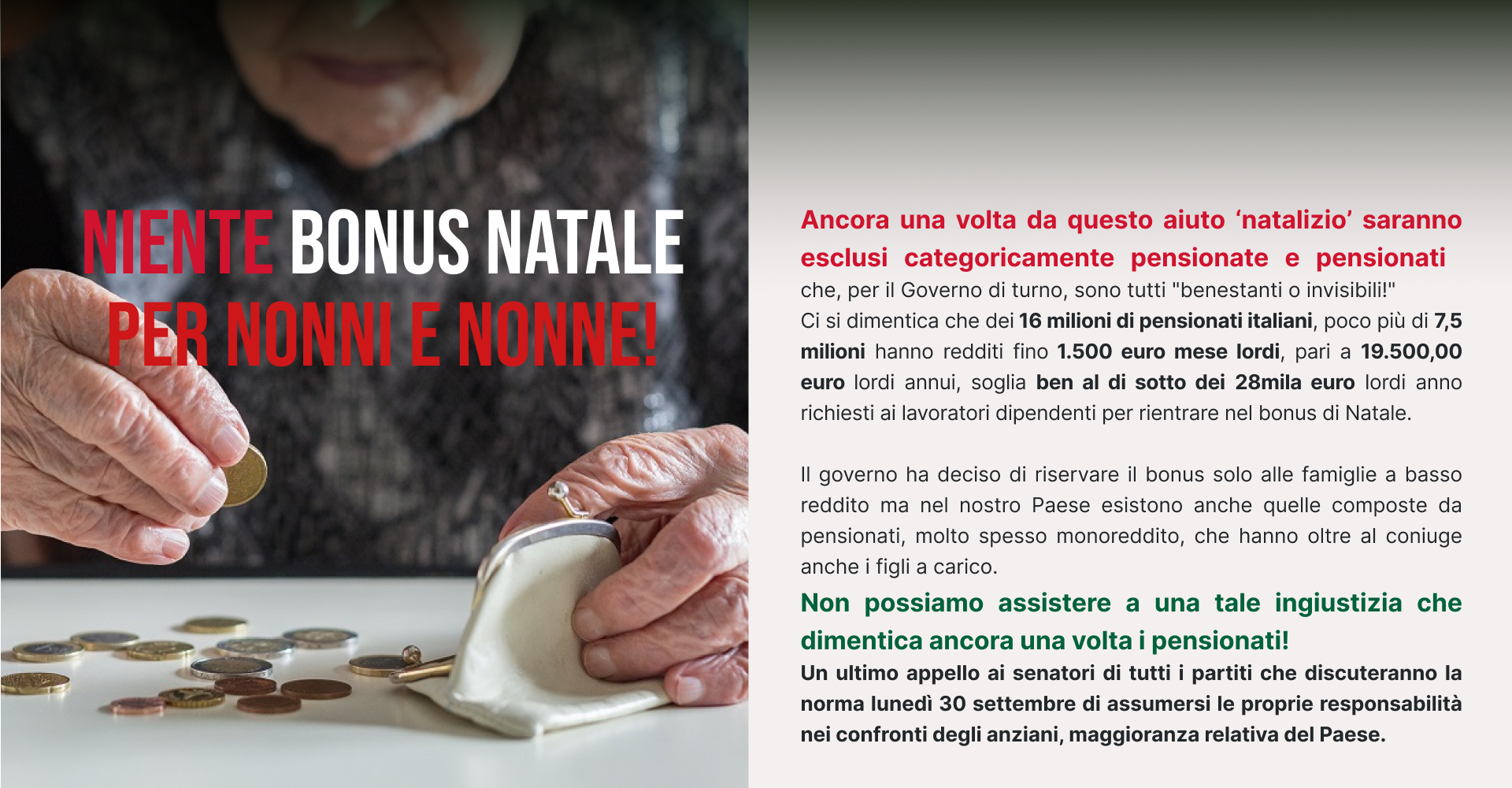 fnp cisl - bonus Natale