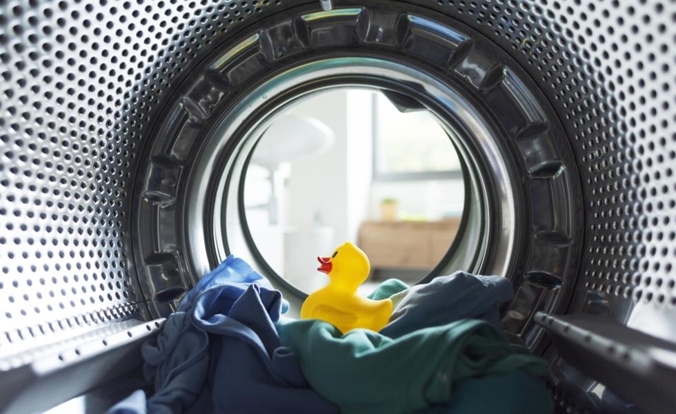 Bonus elettrodomestici: tutto su requisiti, voucher, ISEE e prodotti inclusi