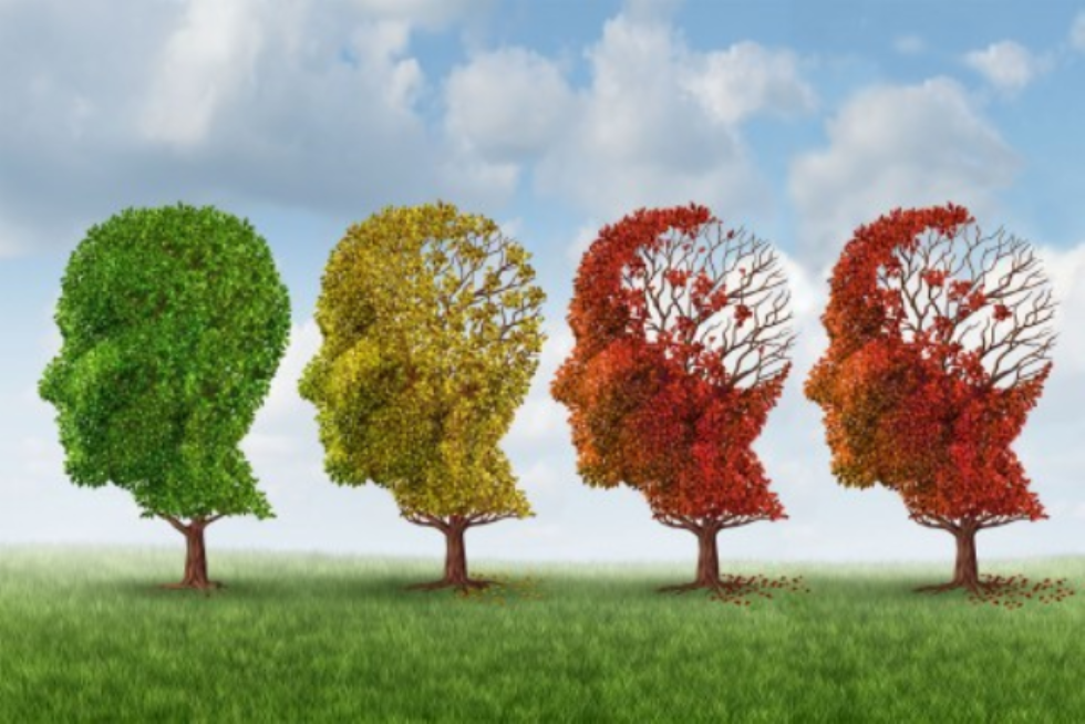 Terza indagine Censis e Aima sull'Alzheimer: 600.000 i malati in Italia